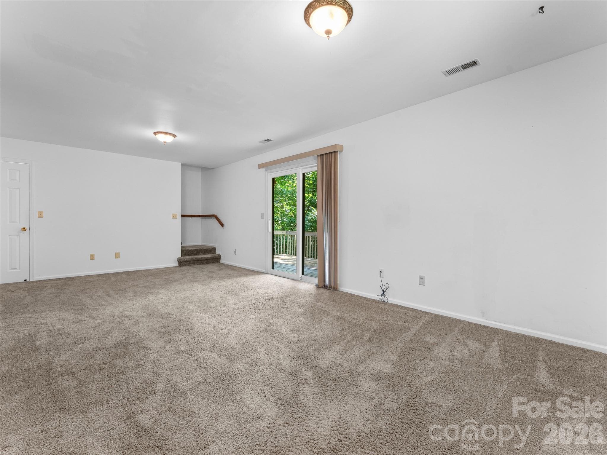 lower level bonus room - 323 Burrell Mountain Road, Brevard