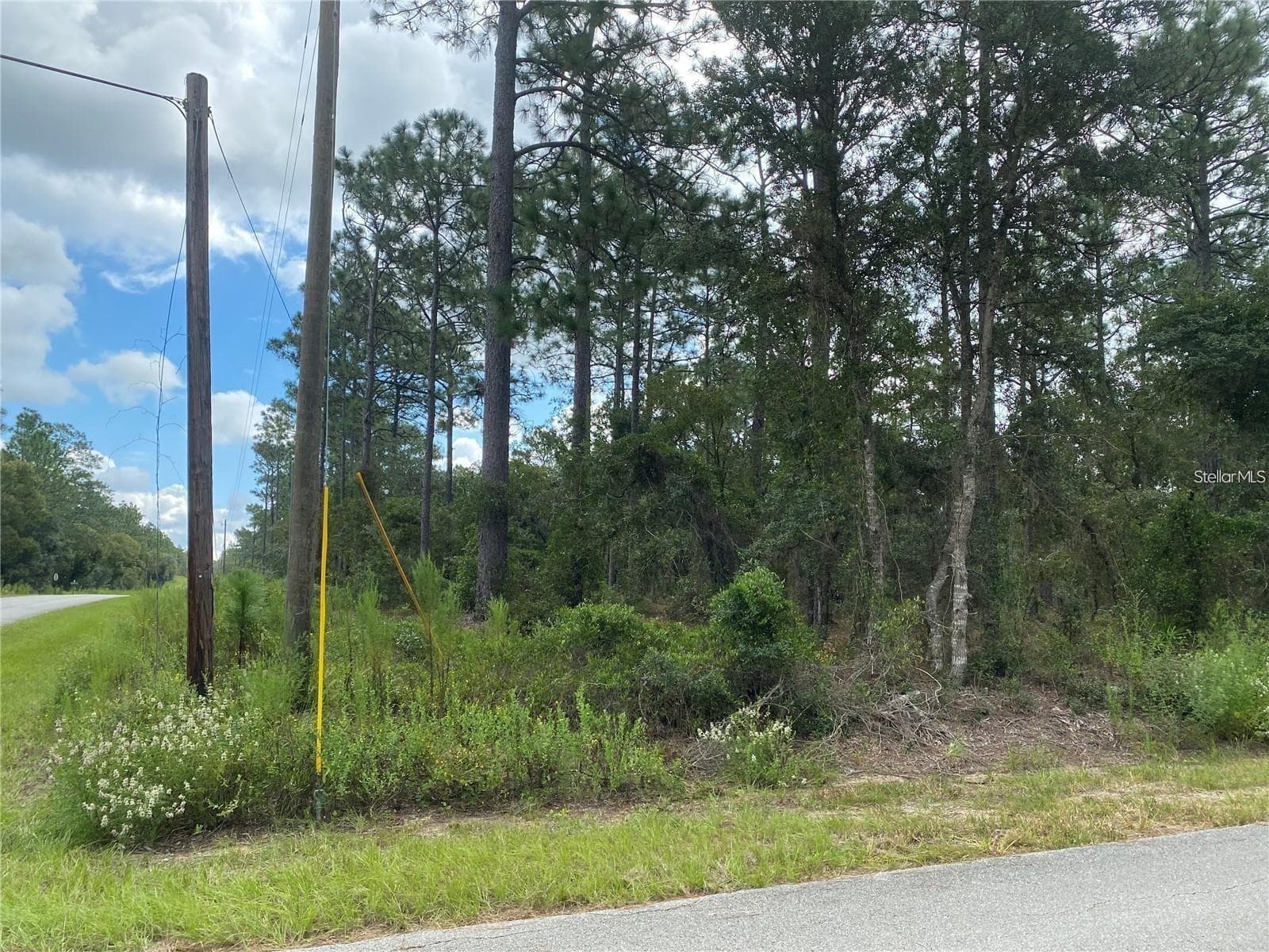 00 SW BUENA VISTA RD