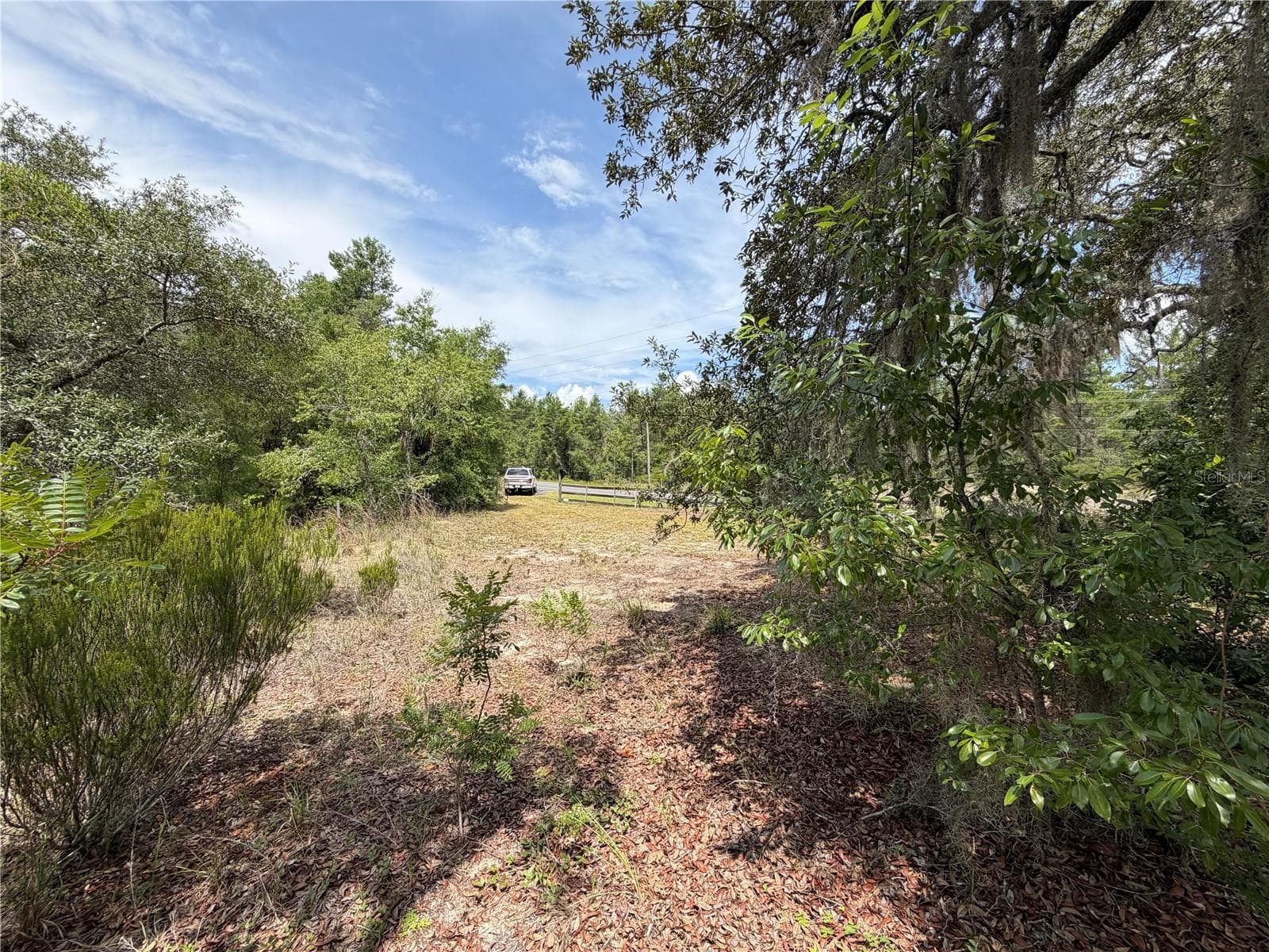 Land at 9730 NE STATE ROAD 24, ARCHER, photo 11 of 46