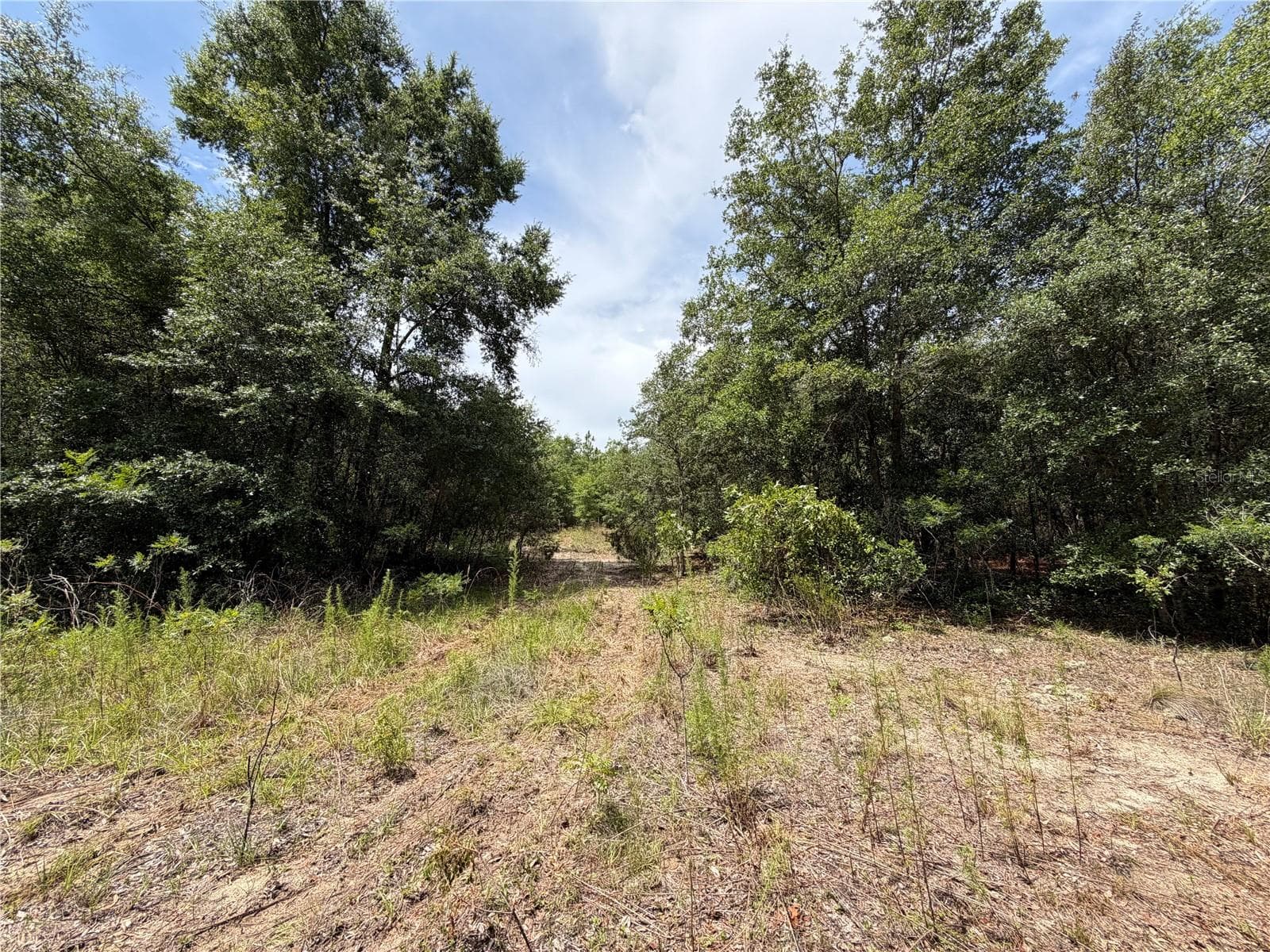Land at 9730 NE STATE ROAD 24, ARCHER, photo 13 of 46