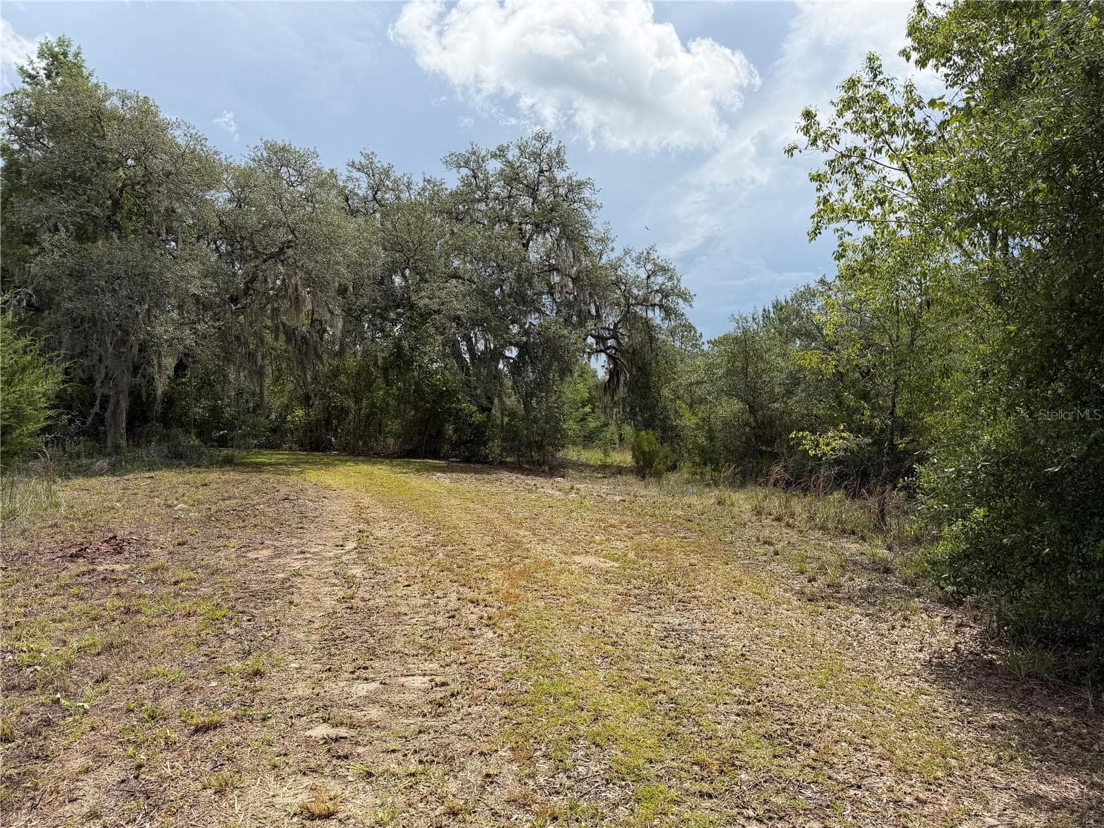 Land at 9730 NE STATE ROAD 24, ARCHER, photo 14 of 46