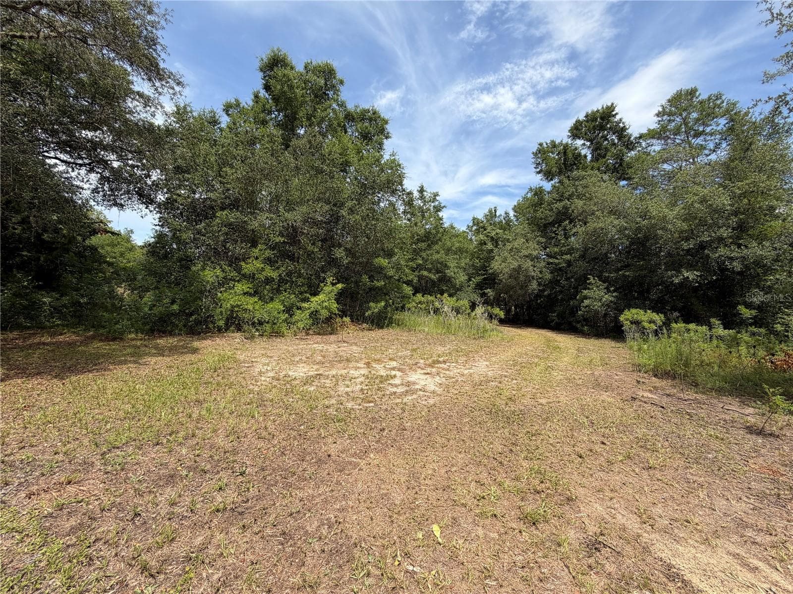 Land at 9730 NE STATE ROAD 24, ARCHER, photo 15 of 46