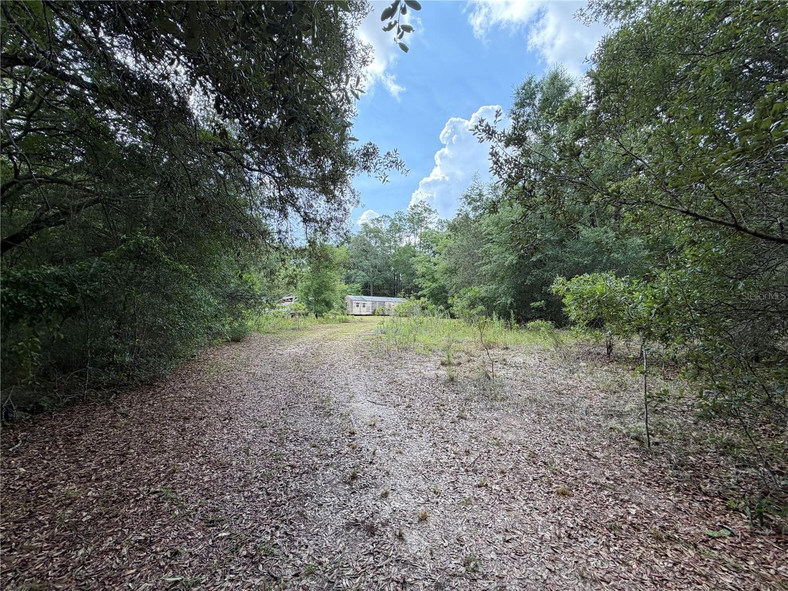 Land at 9730 NE STATE ROAD 24, ARCHER, photo 17 of 46