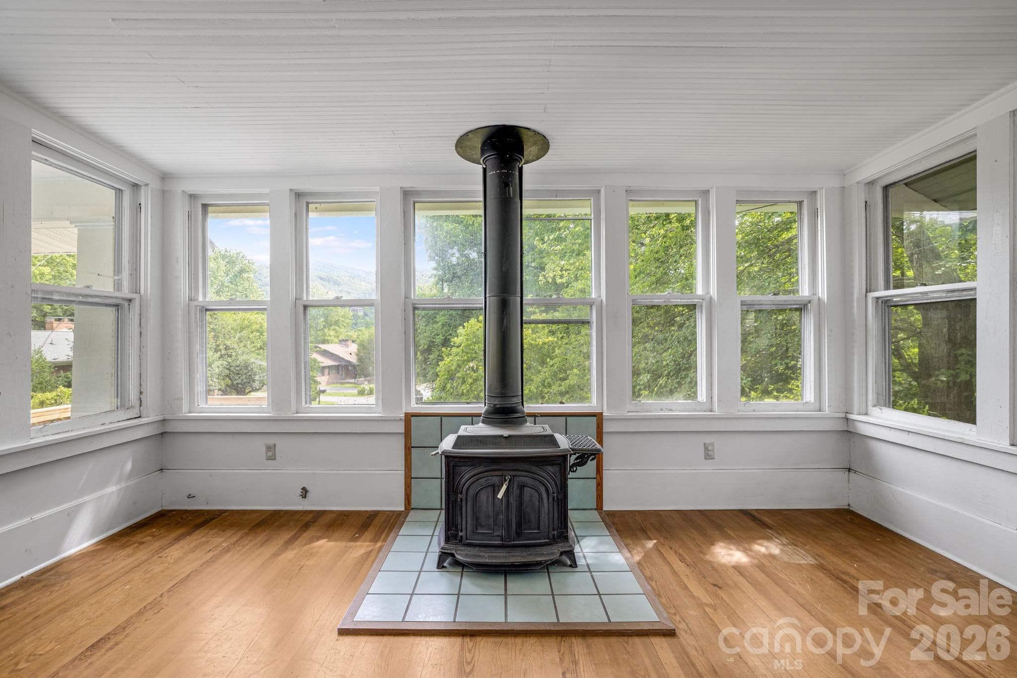 Single Family Residence at 82 Hill Street, Hot Springs, photo 9 of 42