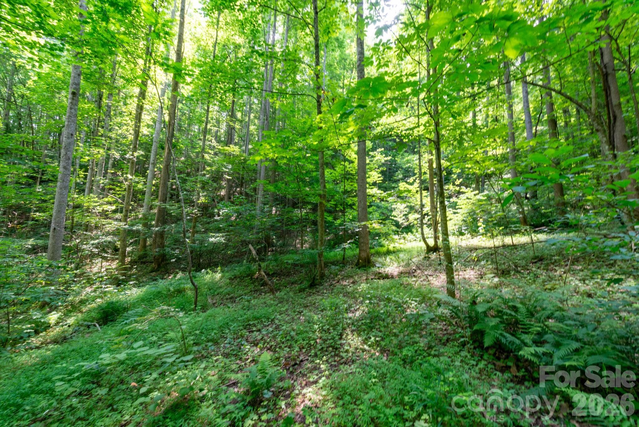 Acreage at ### Board Tree Road, Marshall, photo 8 of 12