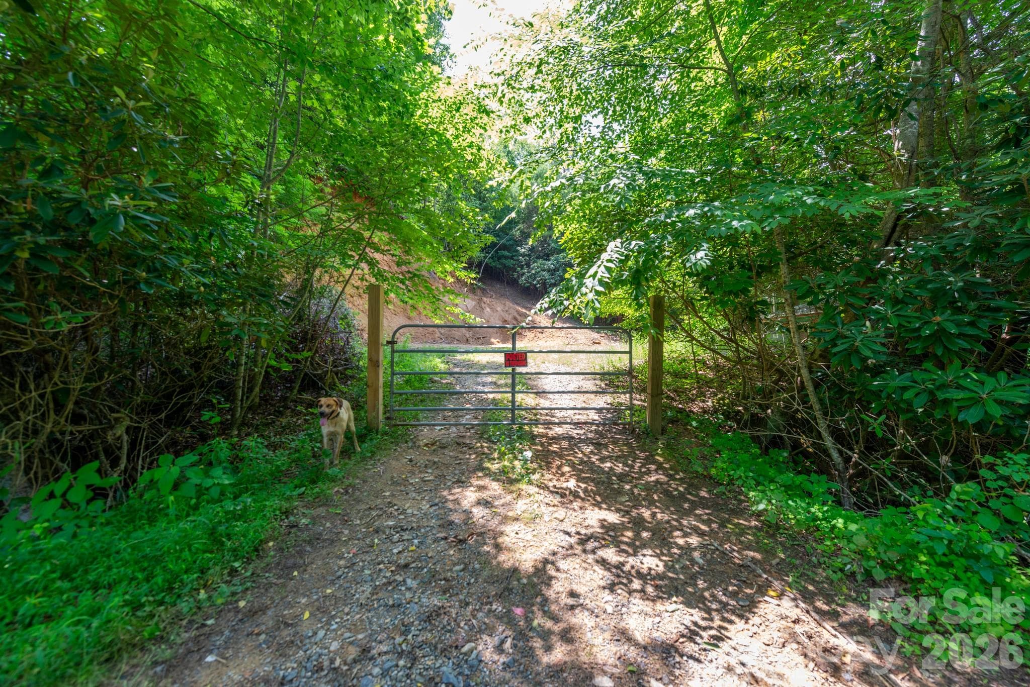 Acreage at ### Board Tree Road, Marshall, photo 11 of 12