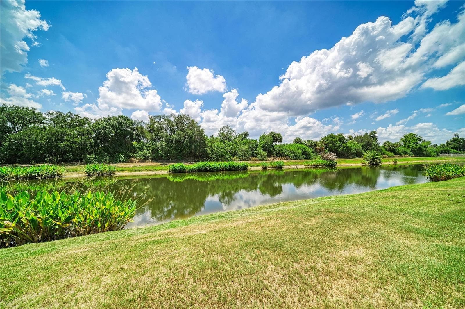 Single Family Residence at 316 STAR SHELL DR, APOLLO BEACH, photo 48 of 57