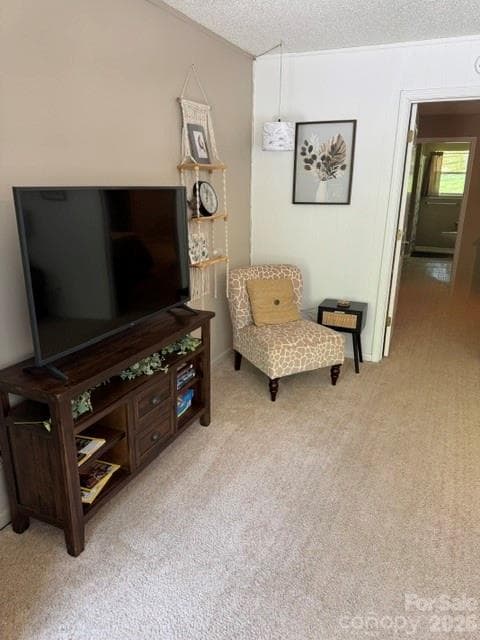 Duplex at 96 Rolling Hills Road, Mills River, photo 19 of 32