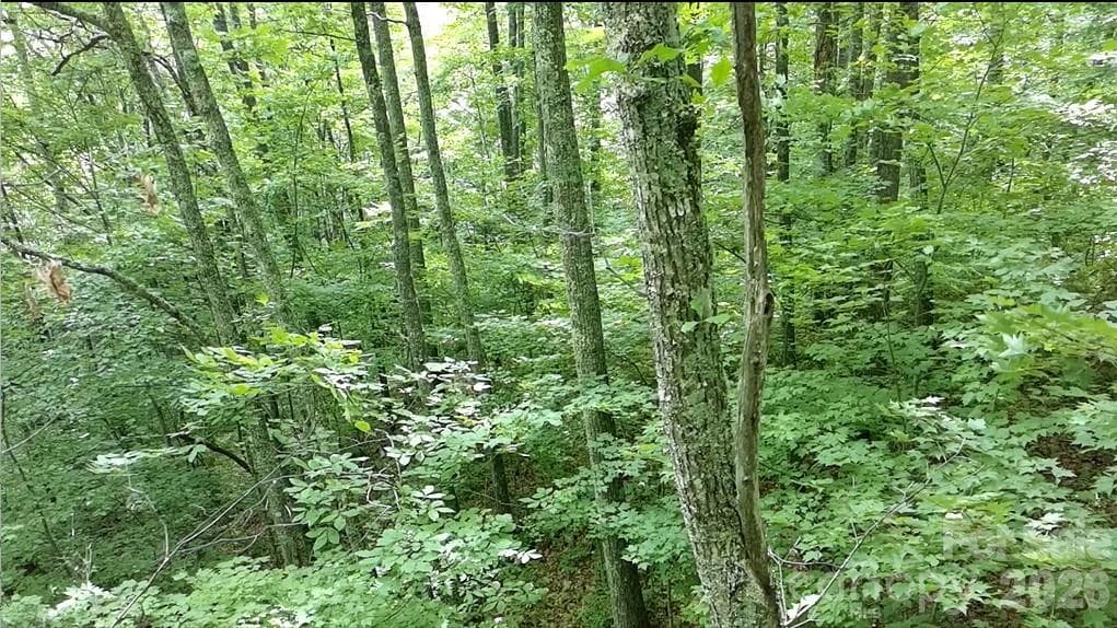 Lot at 1873 Unahala Creek Drive, Bryson City, photo 9 of 11
