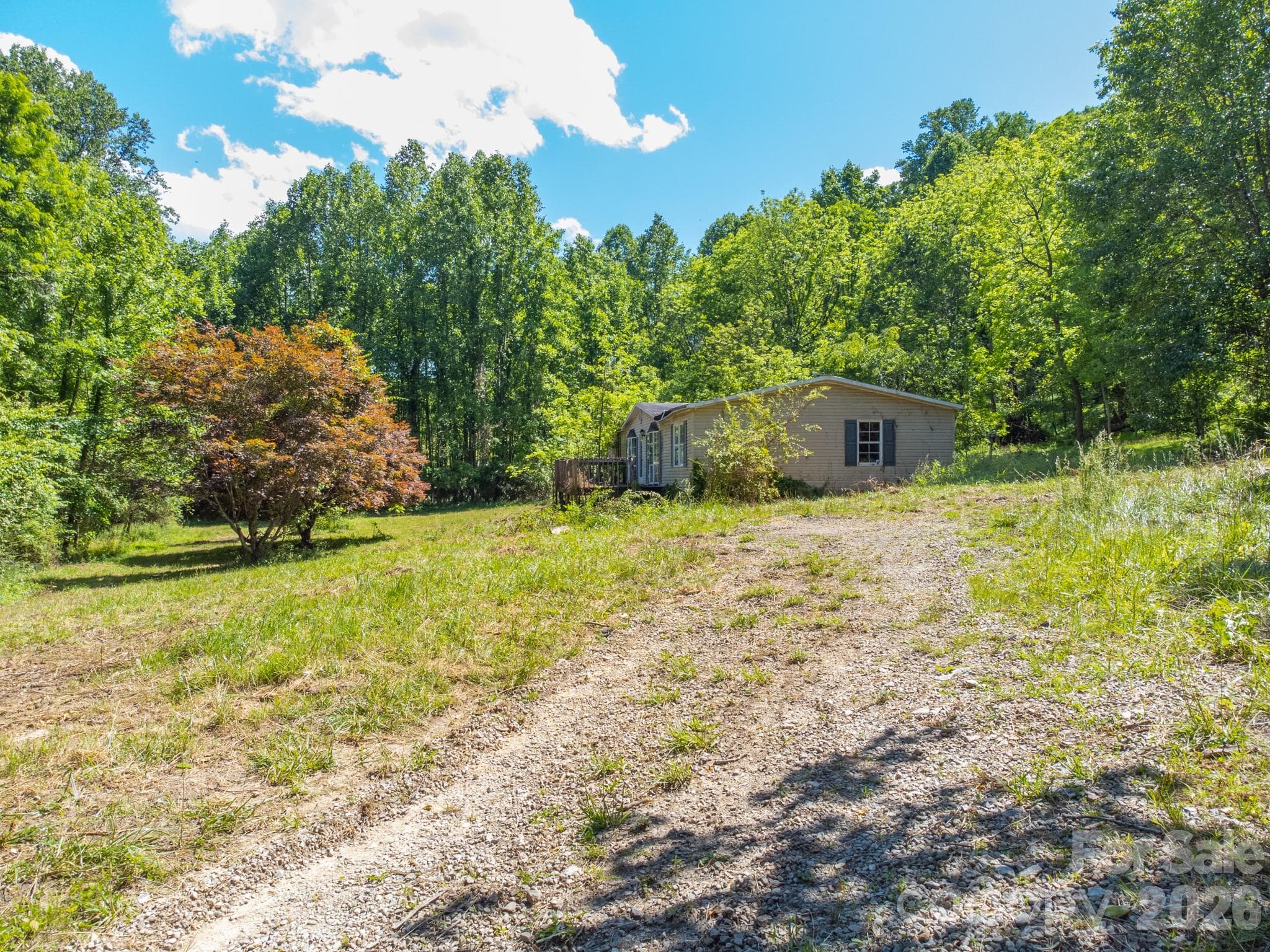 Driveway off Shep - 27 Shep Drive, Mills River