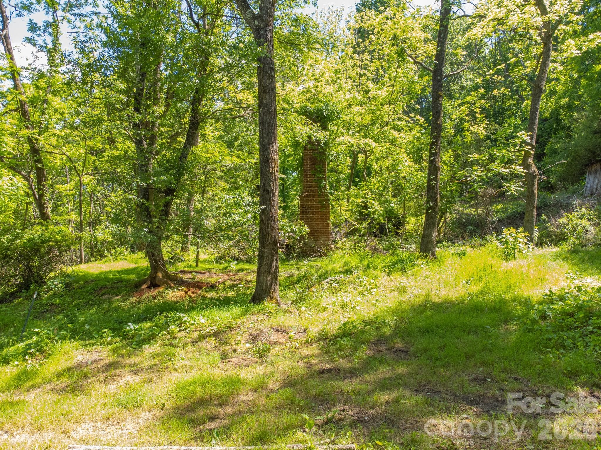 Gentle topography - 27 Shep Drive, Mills River