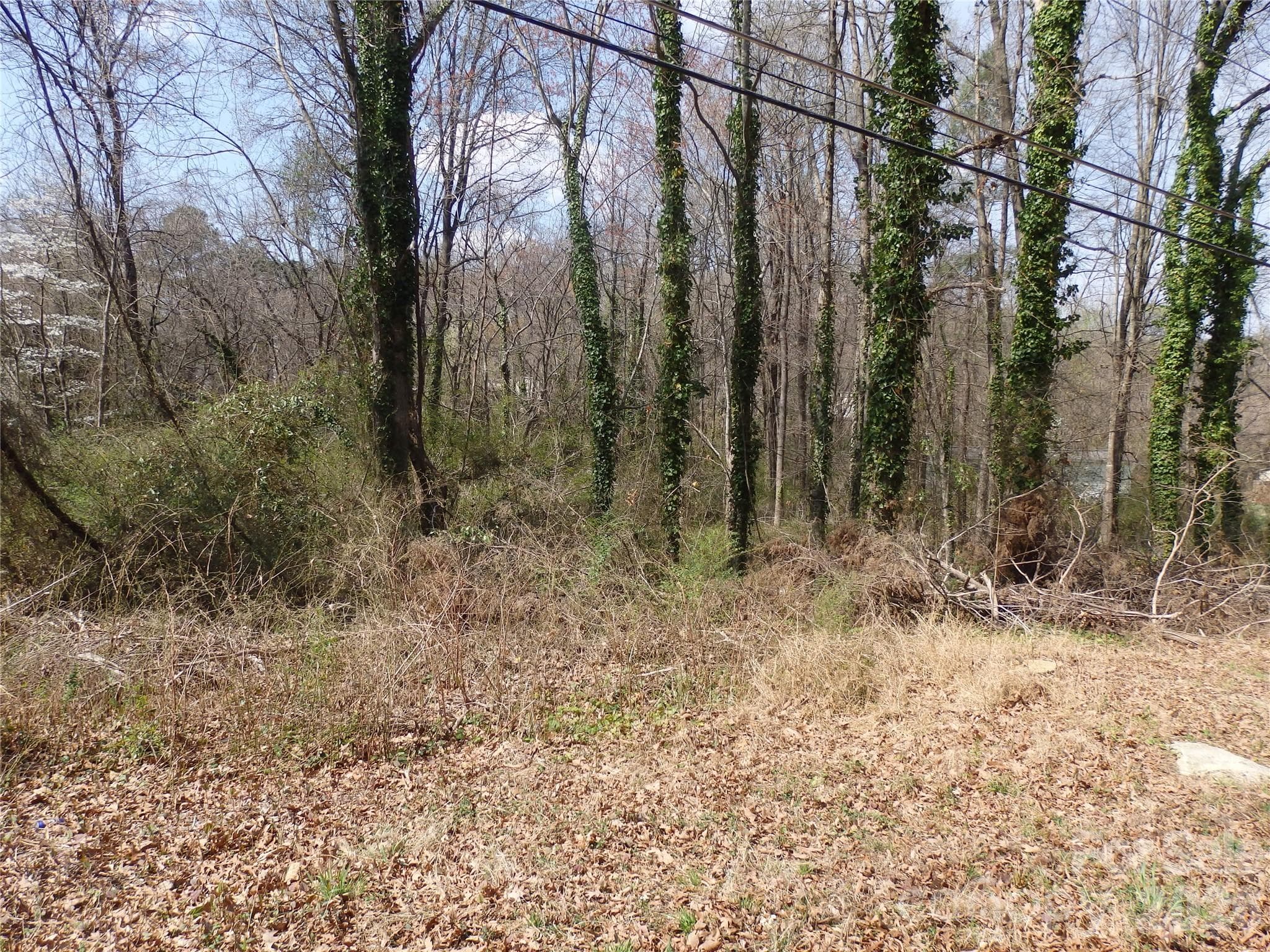 Lot at 0 Chestnut Street, Asheboro, photo 2 of 7