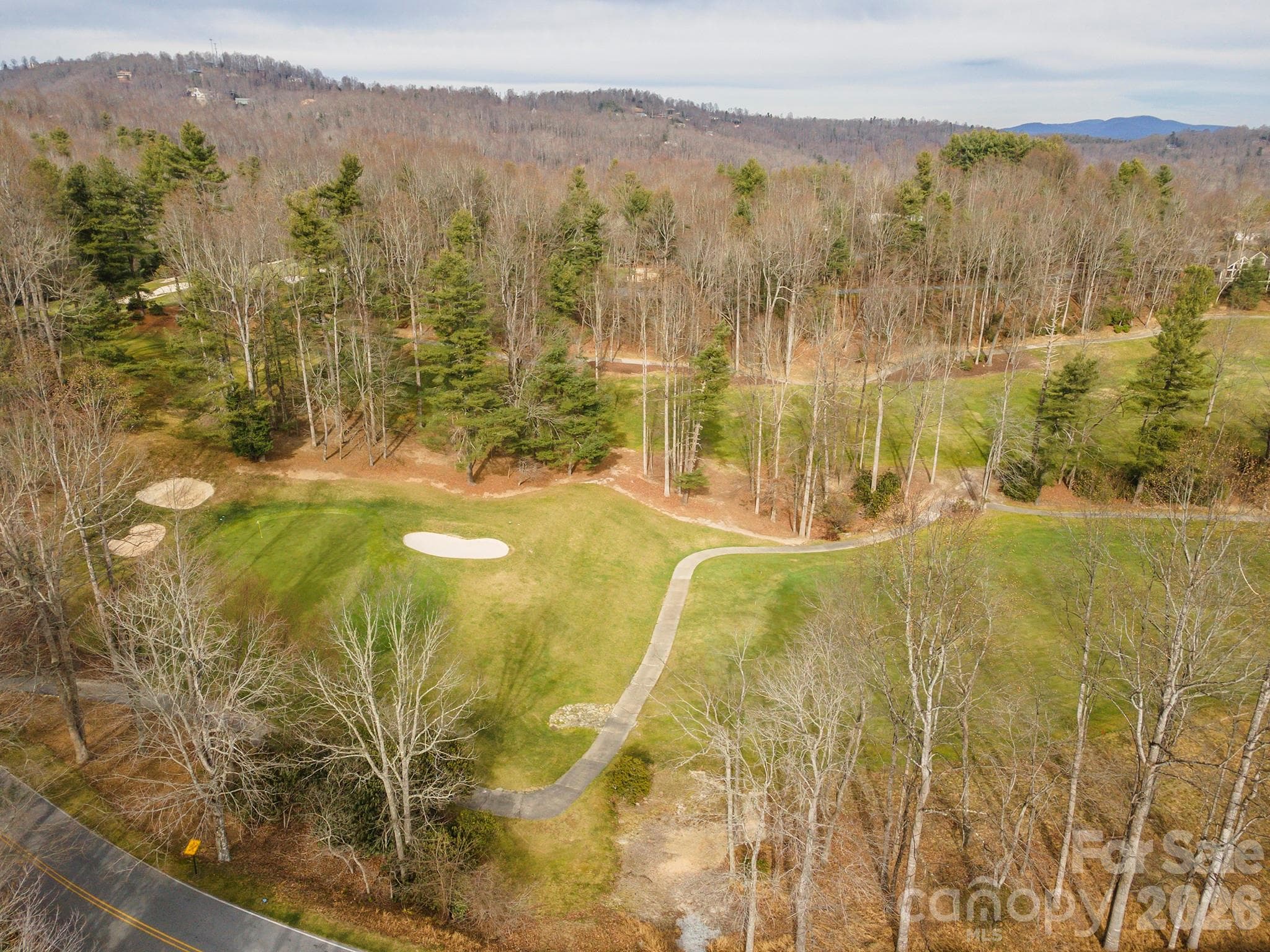 Lot at 24 Falls Lane, Hendersonville, photo 3 of 38