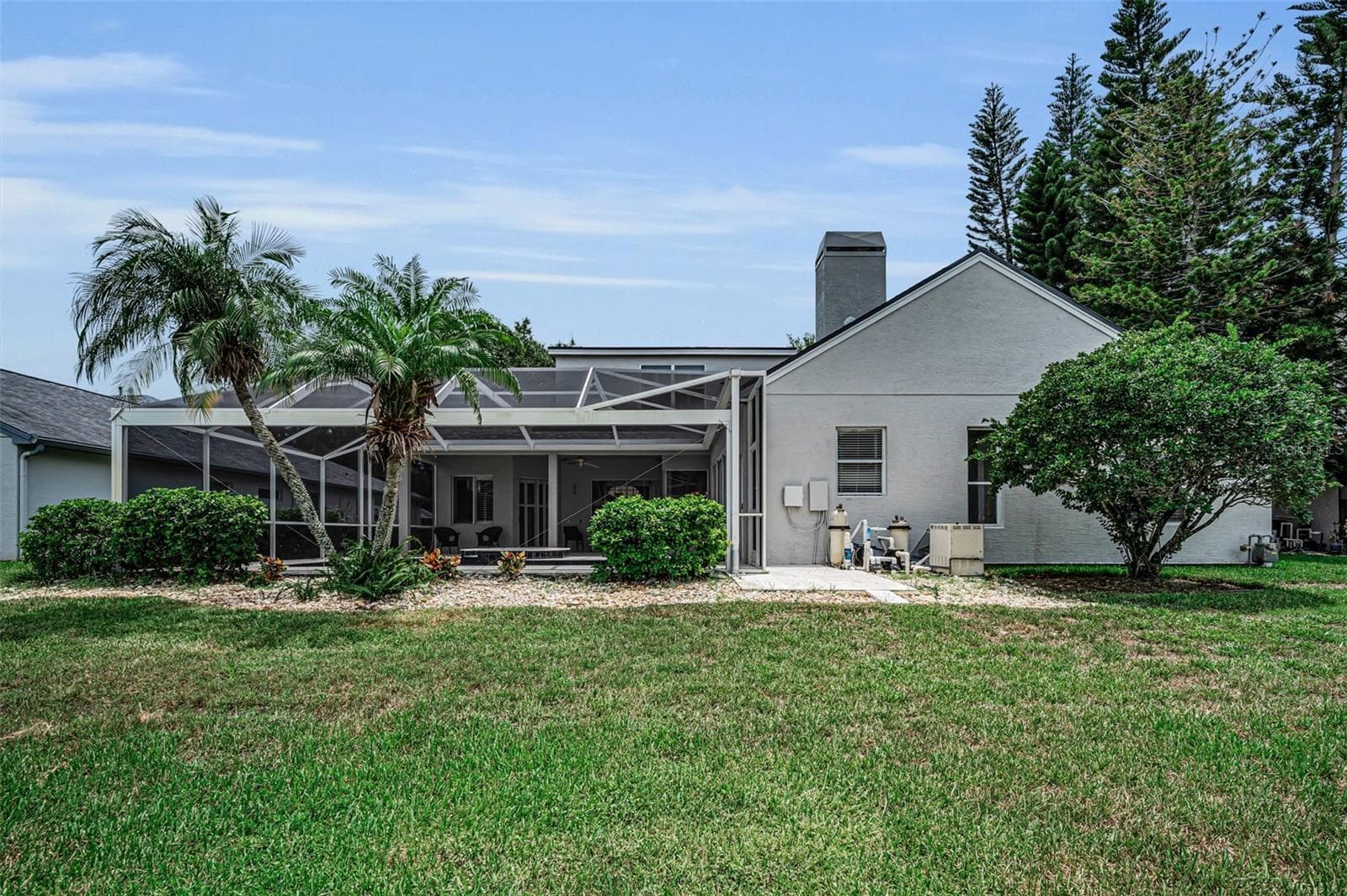 Backyard - 4084 LIGUSTRUM DR, PALM HARBOR