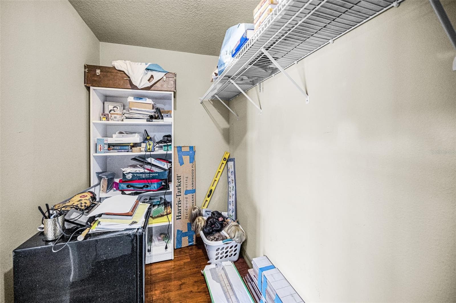 Bonus Room large walk-in closet - 4084 LIGUSTRUM DR, PALM HARBOR