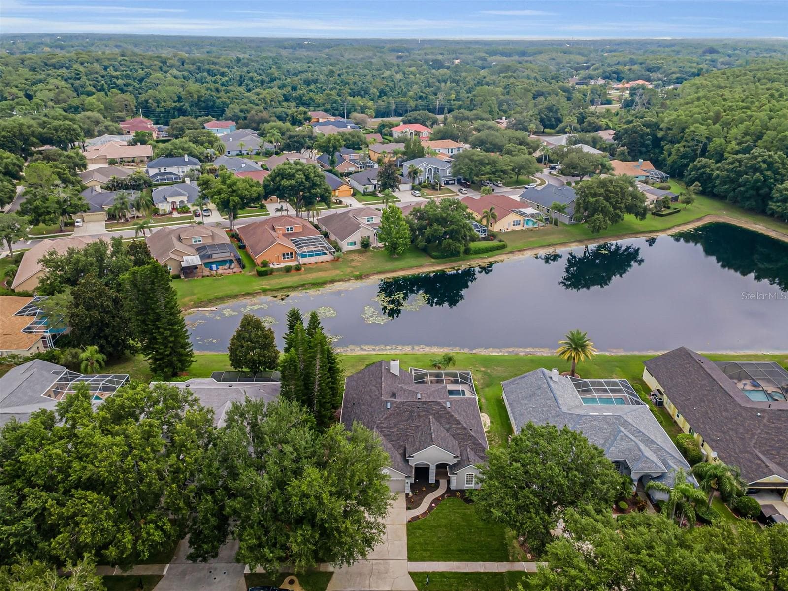 Aerial view - 4084 LIGUSTRUM DR, PALM HARBOR