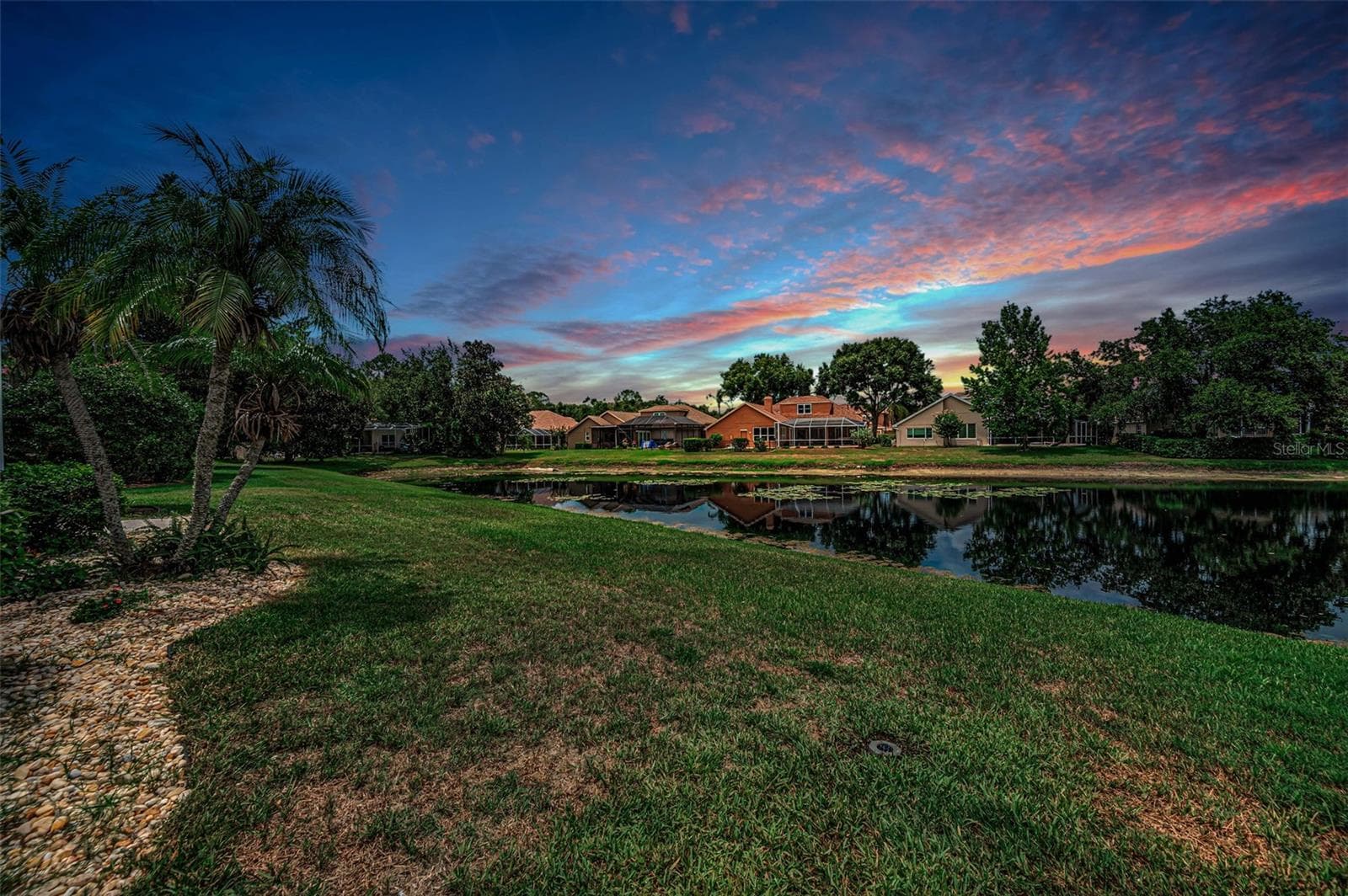 Backyard - 4084 LIGUSTRUM DR, PALM HARBOR