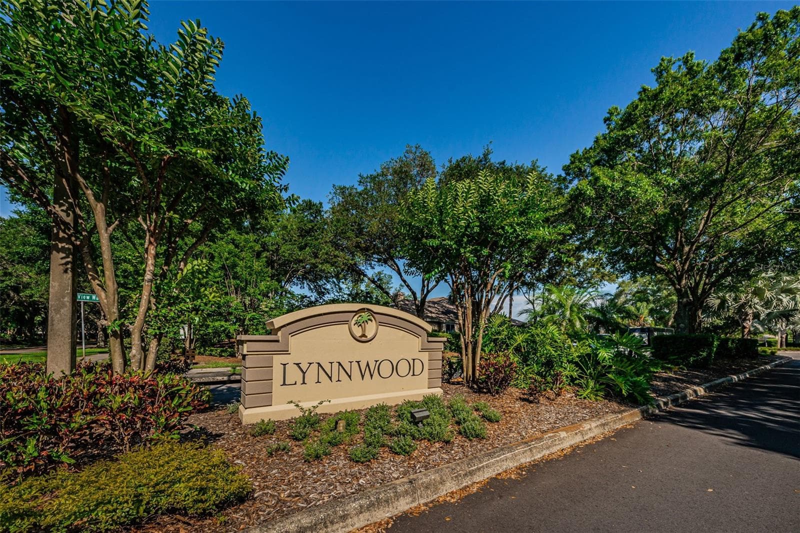 Lynnwood neighborhood in Lansbrook - 4084 LIGUSTRUM DR, PALM HARBOR
