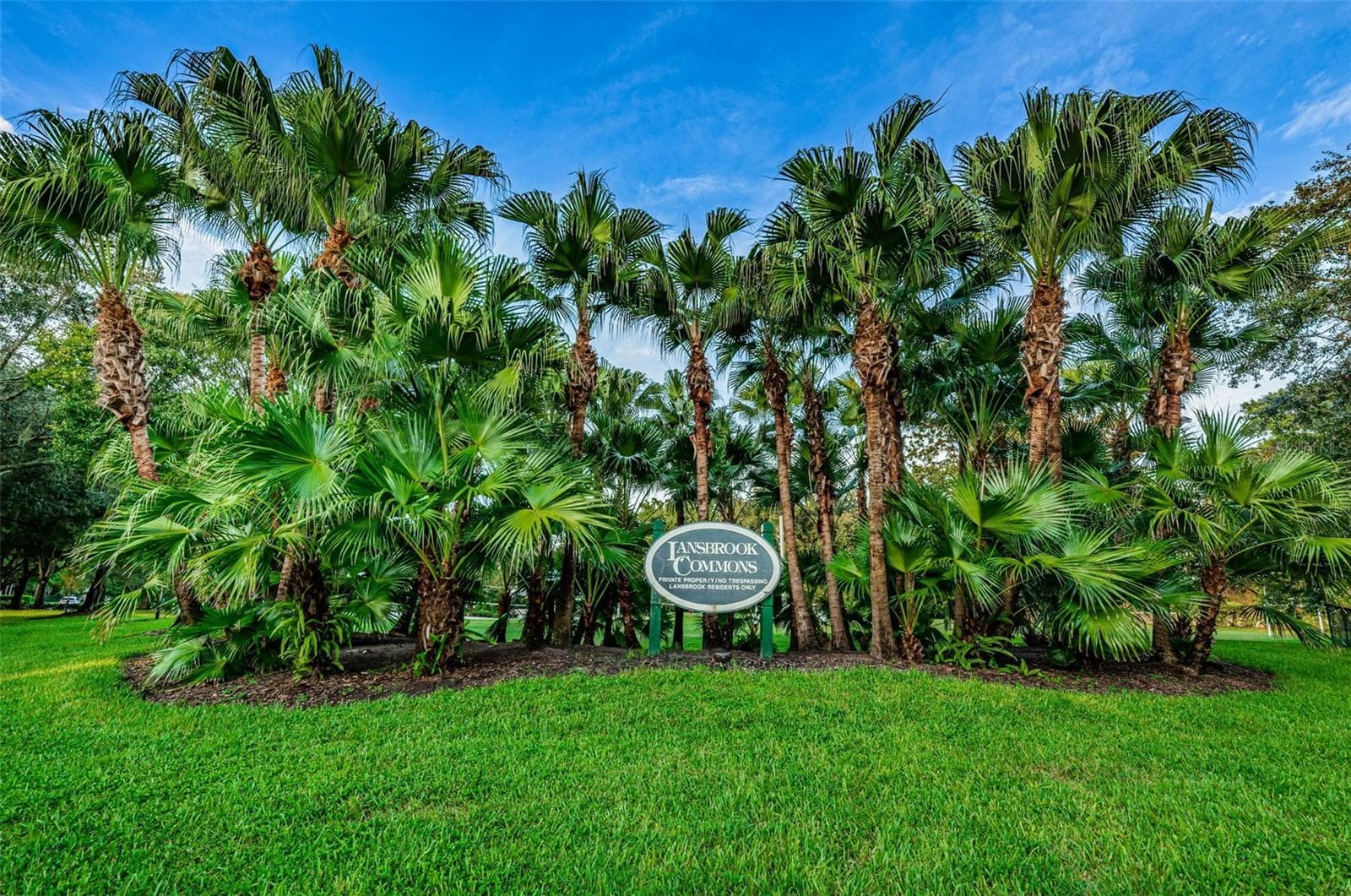 Lansbrook Commons Park - 4084 LIGUSTRUM DR, PALM HARBOR