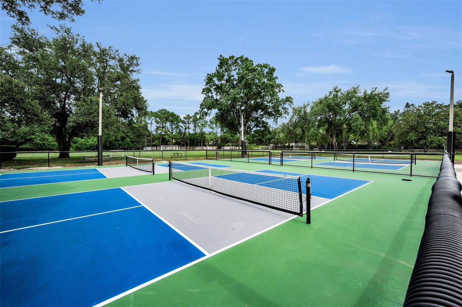 New fenced in pickleball courts at Commons Park - 4084 LIGUSTRUM DR, PALM HARBOR