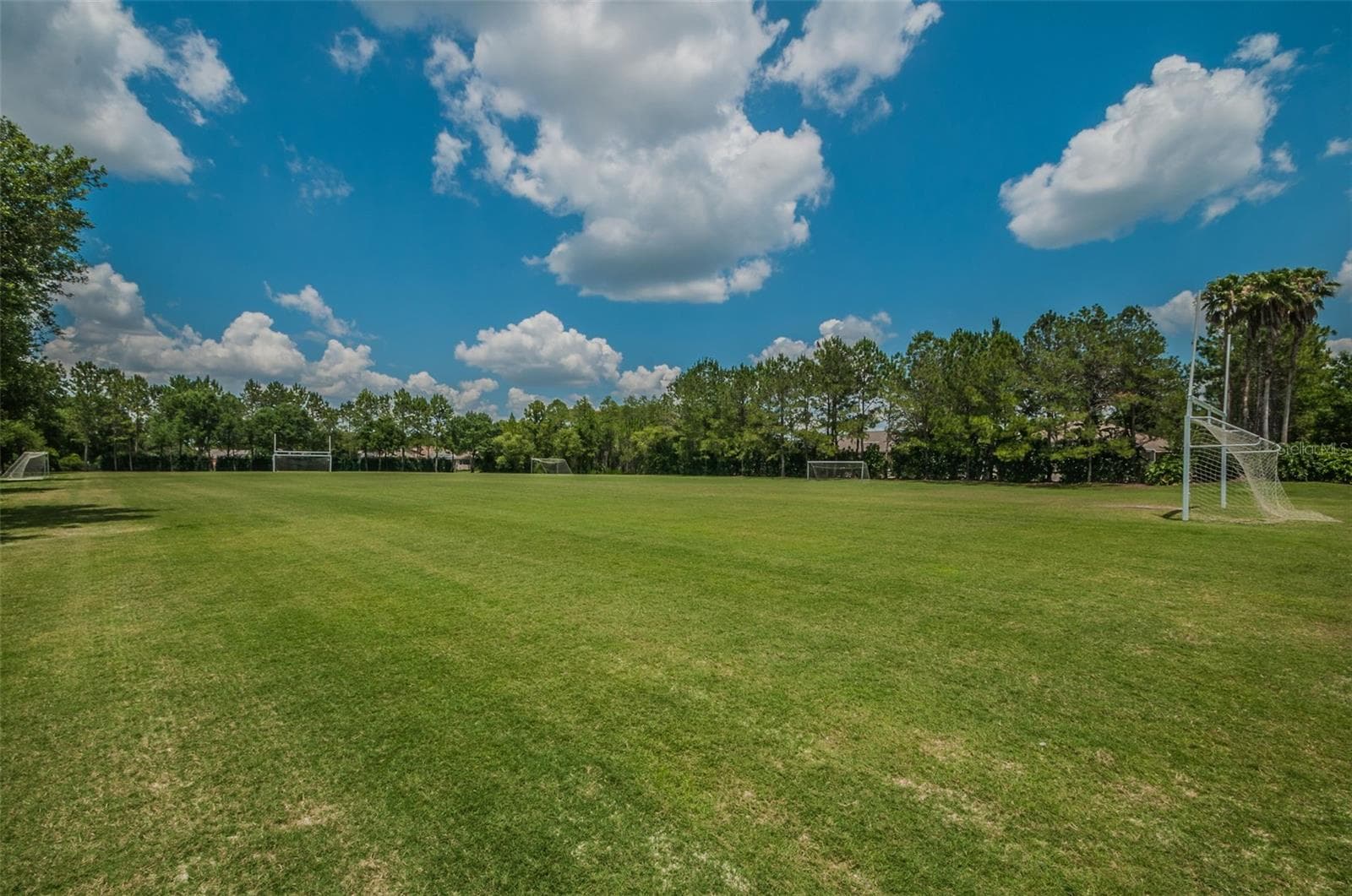 Soccer field at Commons Park - 4084 LIGUSTRUM DR, PALM HARBOR