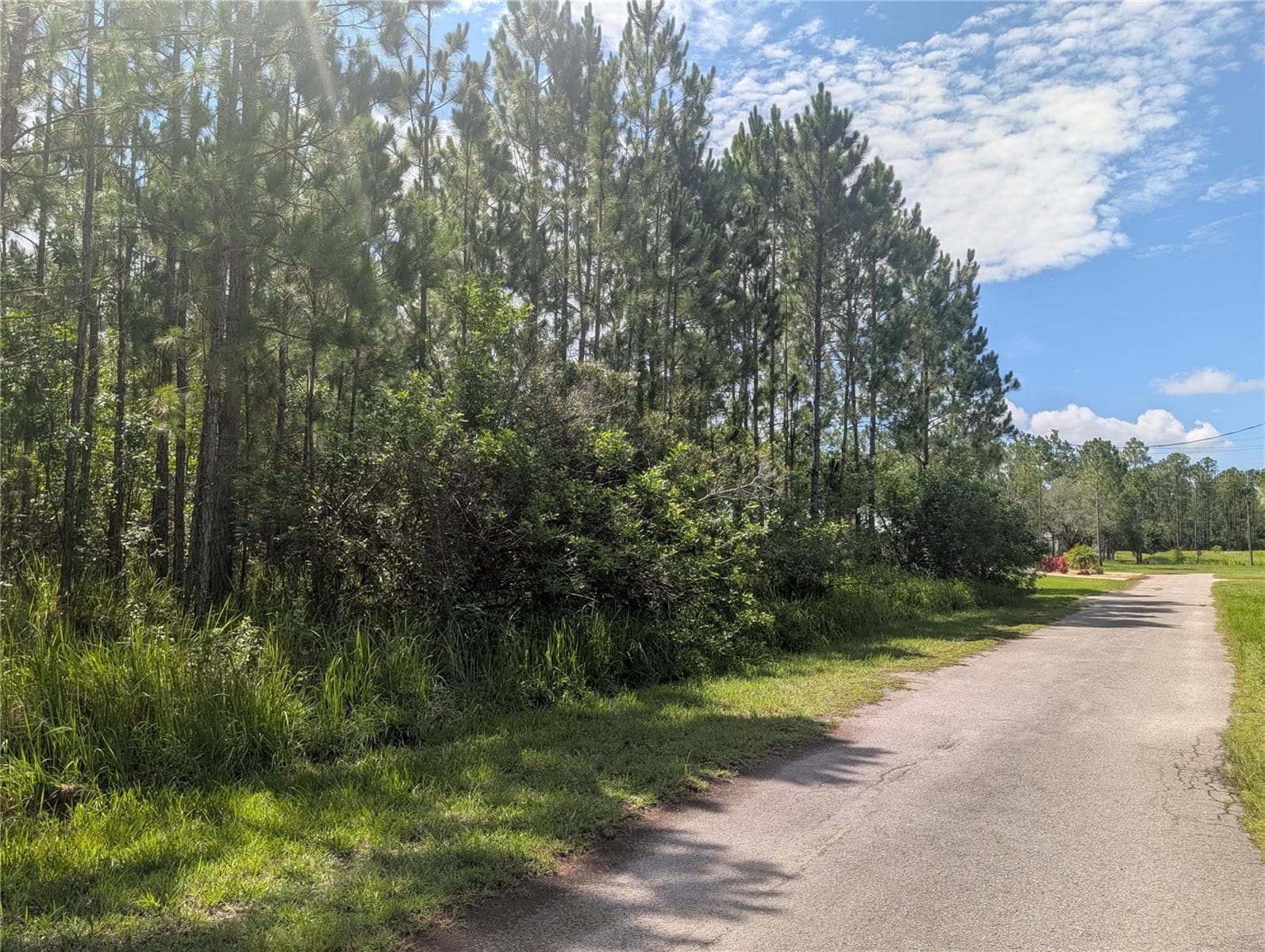 Land at 30 AMARYLLIS DR, INDIAN LAKE ESTATES, photo 13 of 46