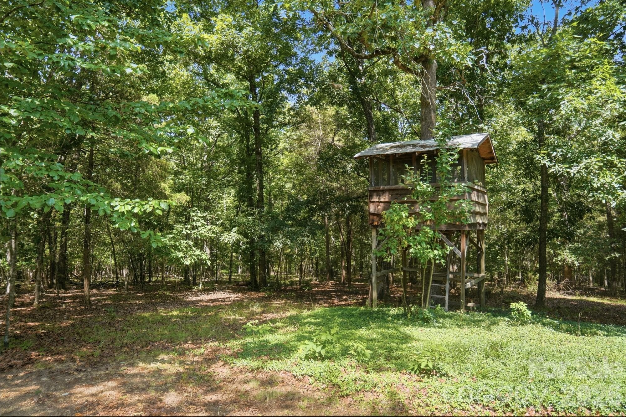 Treehouse - 11300 NC Hwy 73 Highway E, Mount Pleasant