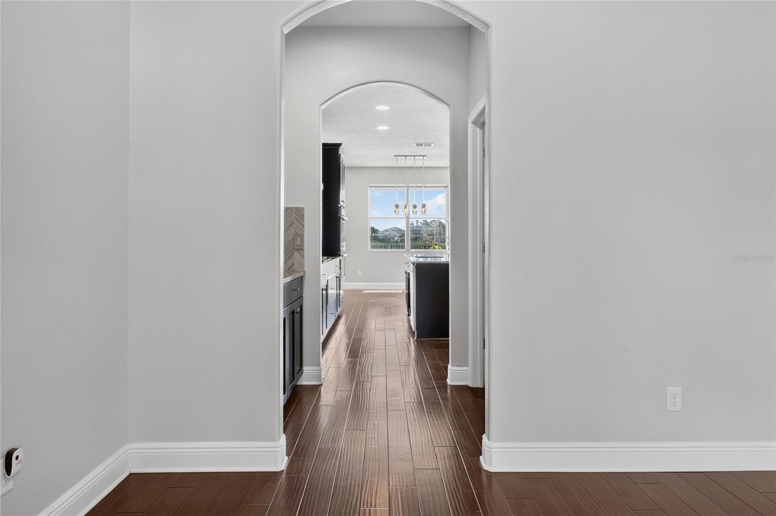 Single Family Residence at 1806 NATURE VIEW DR, LUTZ, photo 16 of 93