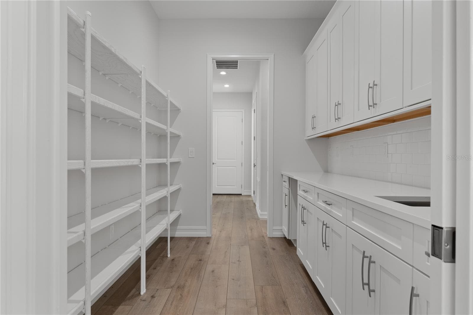Walk through pantry - 3926 SOUTHERN VALLEY LOOP, BROOKSVILLE