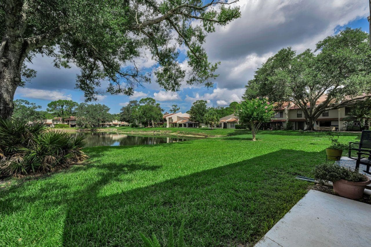property view - 3505 TARPON WOODS BLVD #O-403, PALM HARBOR