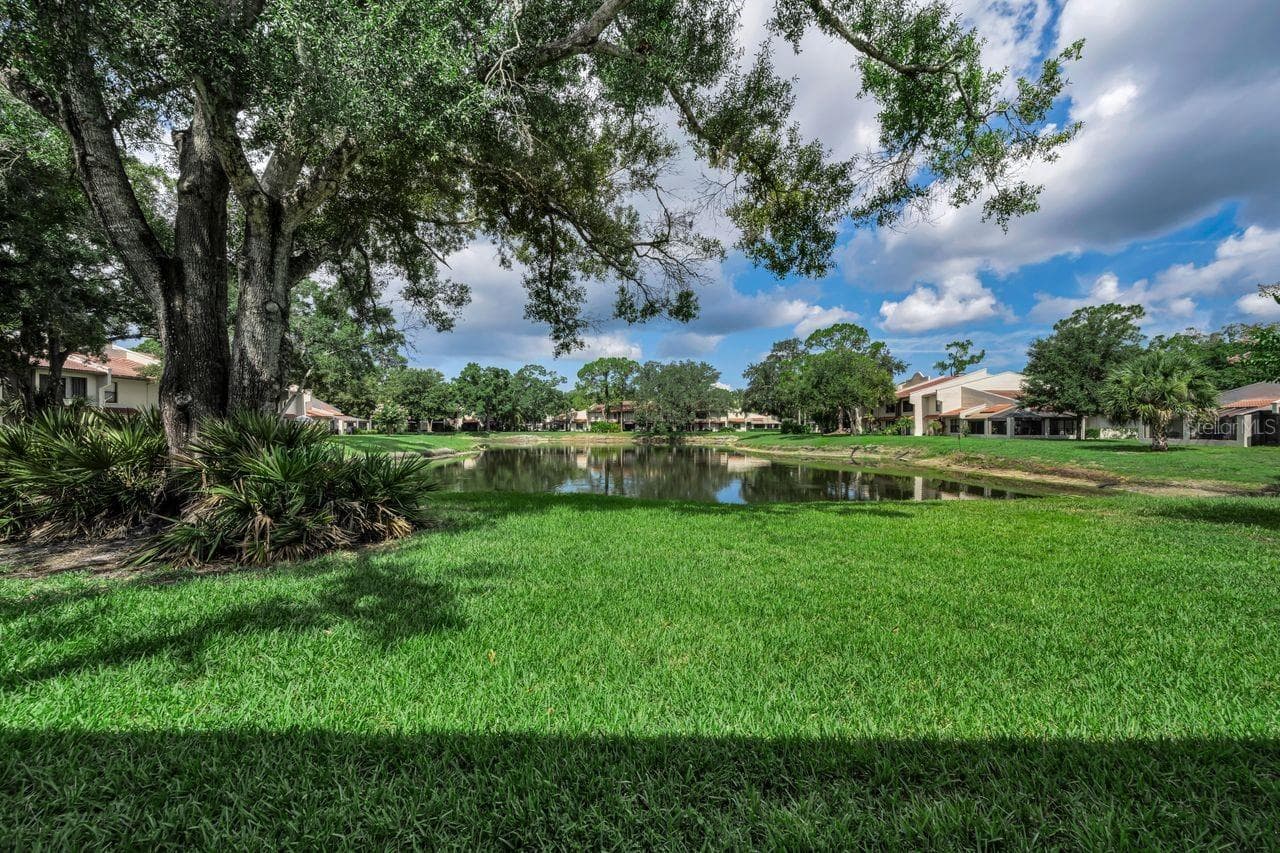 property view - 3505 TARPON WOODS BLVD #O-403, PALM HARBOR