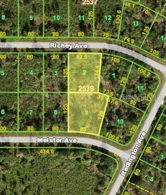 Land at 12522 MEISTER AVE, PORT CHARLOTTE, photo 2 of 3