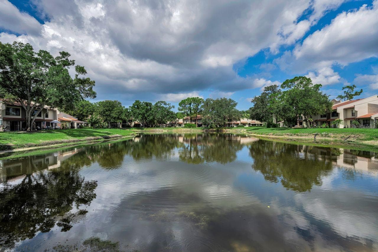 pond view - 3505 TARPON WOODS BLVD #O-403, PALM HARBOR