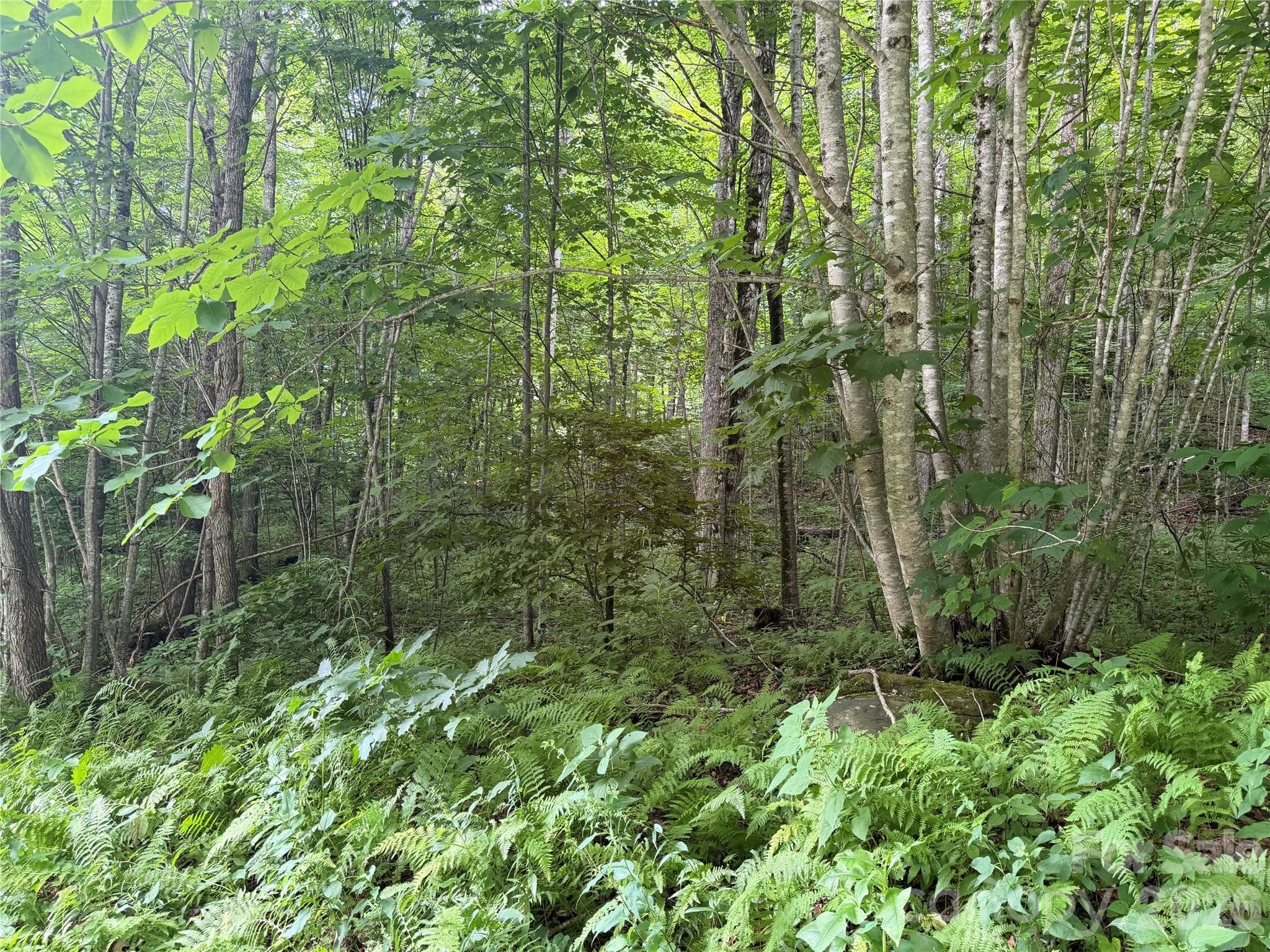 Lot at 64A Jonathan Trail, Maggie Valley, photo 4 of 15