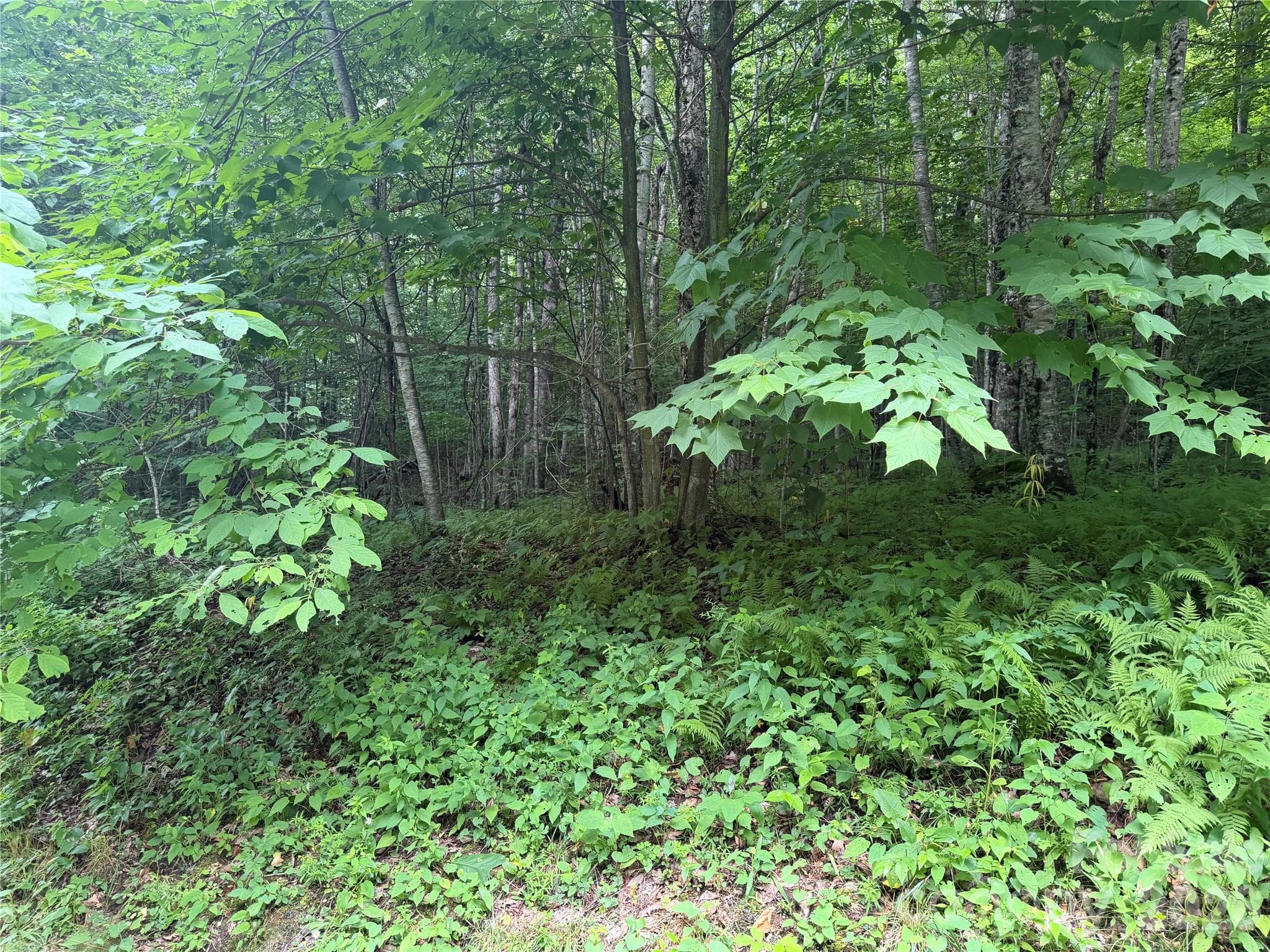 Lot at 64A Jonathan Trail, Maggie Valley, photo 6 of 15