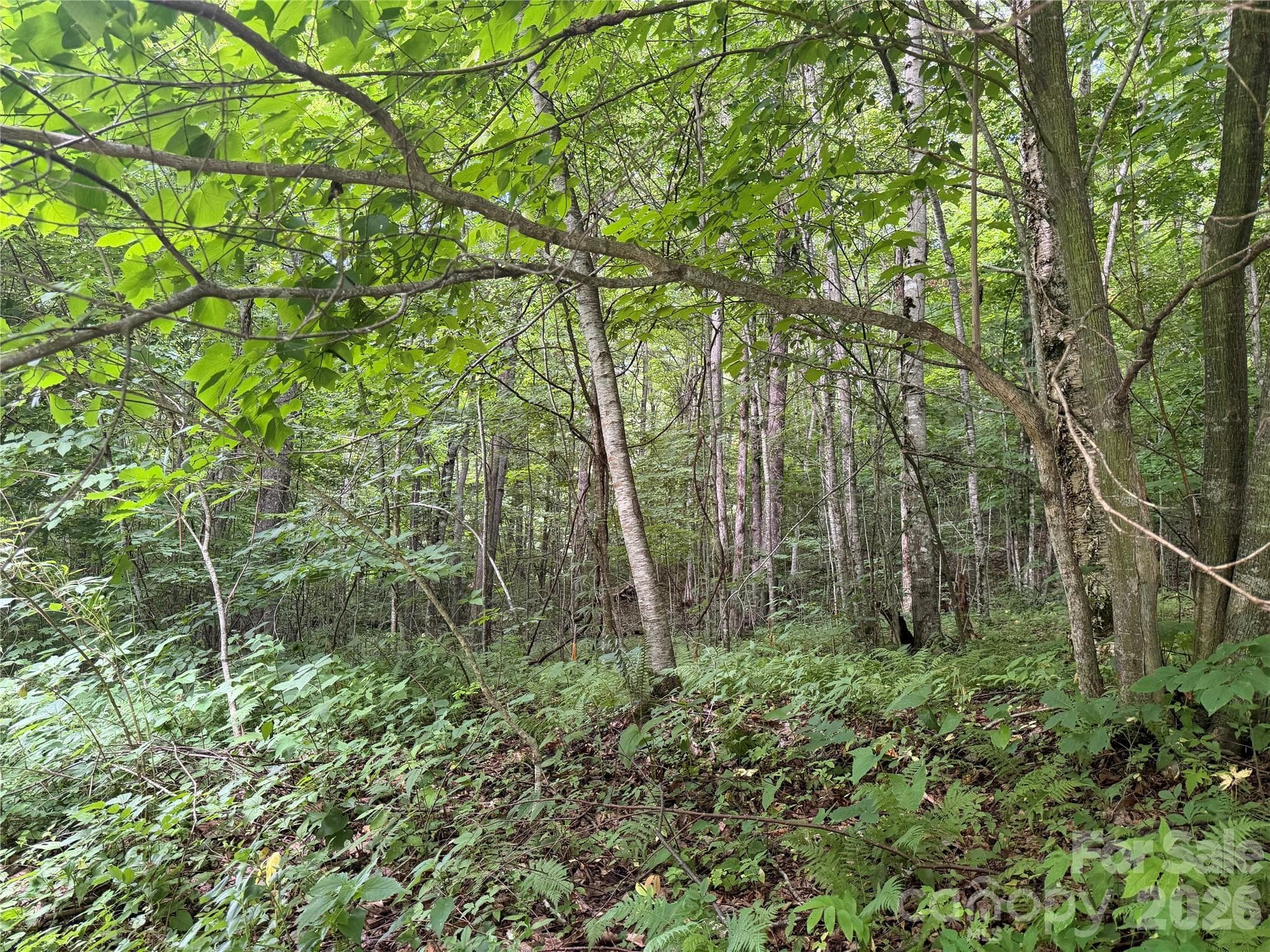 Lot at 64A Jonathan Trail, Maggie Valley, photo 7 of 15