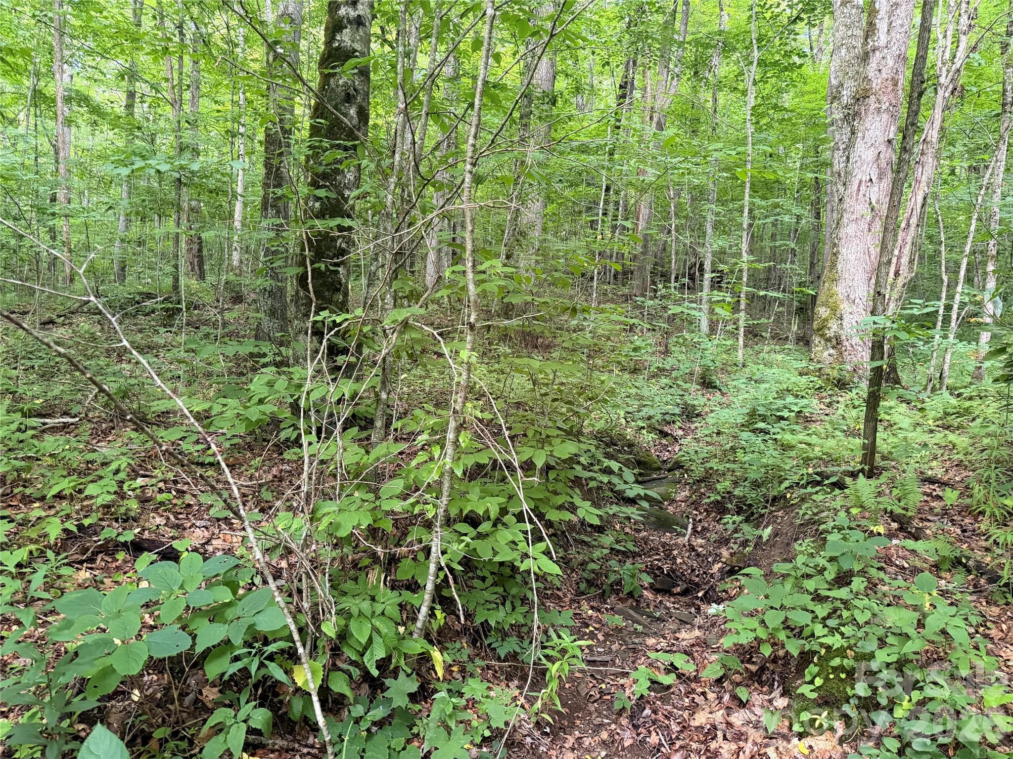 Lot at 64A Jonathan Trail, Maggie Valley, photo 8 of 15