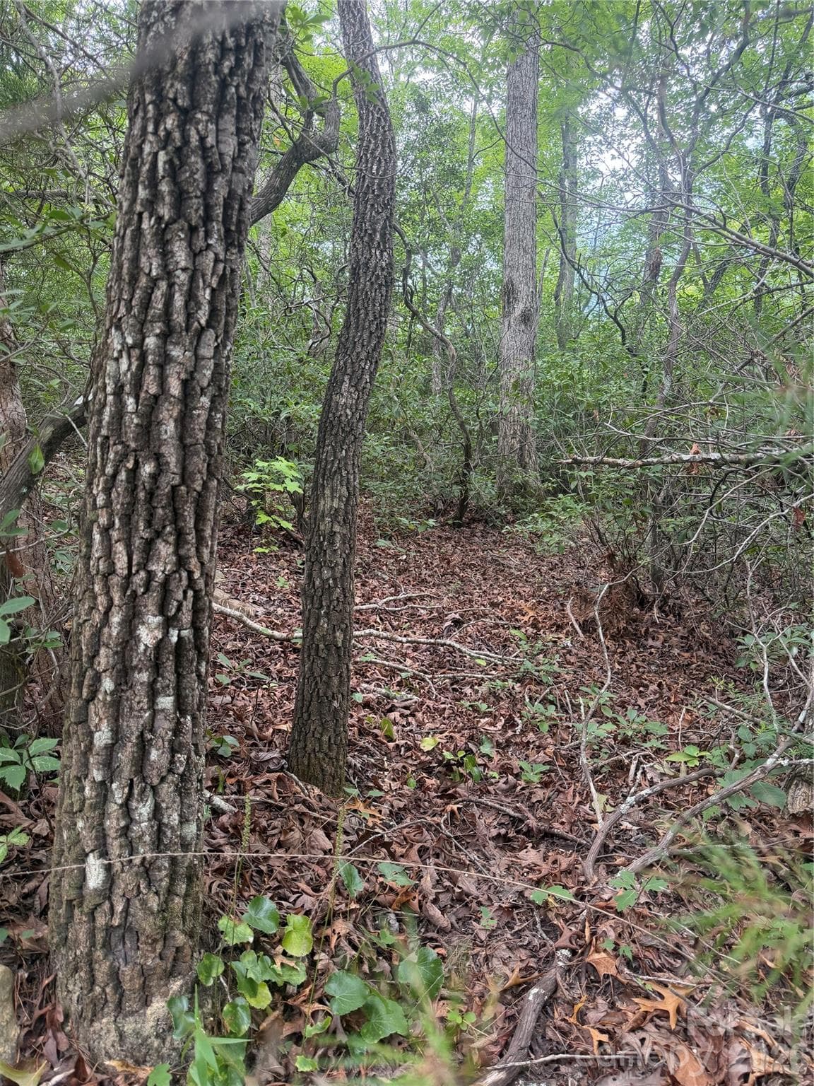 Lot at 6 Dobsons Knob Loop, Marion, photo 4 of 14