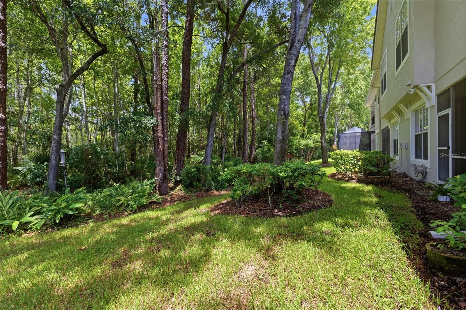 Backyard View - 14613 MIRABELLE VISTA CIR, TAMPA
