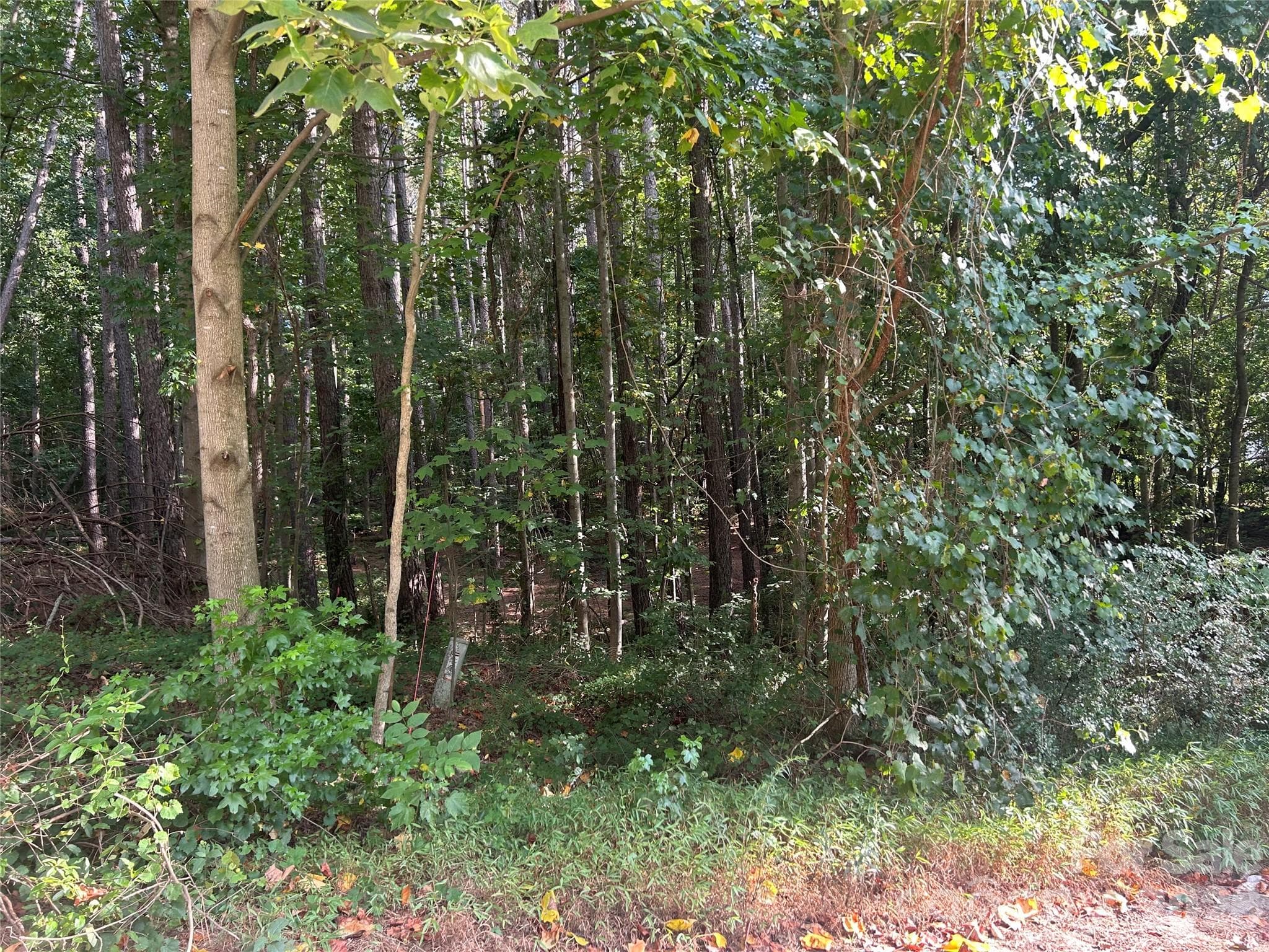 Lot at 00 Knottywood Lane, Vale, photo 6 of 6