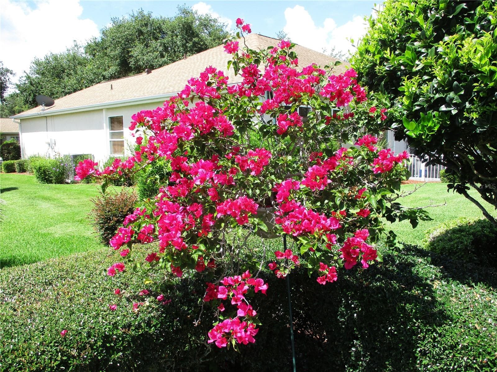 Single Family Residence at 11588 SW 139TH PL, DUNNELLON, photo 53 of 78