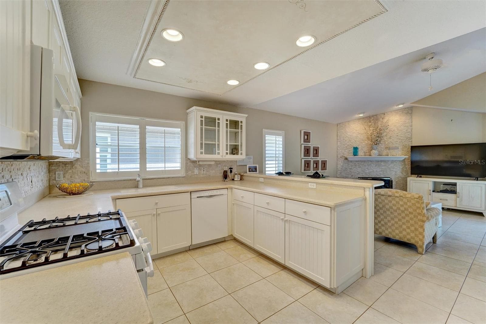 Single Family Residence at 740 SALT LAKE DR, TARPON SPRINGS, photo 21 of 46
