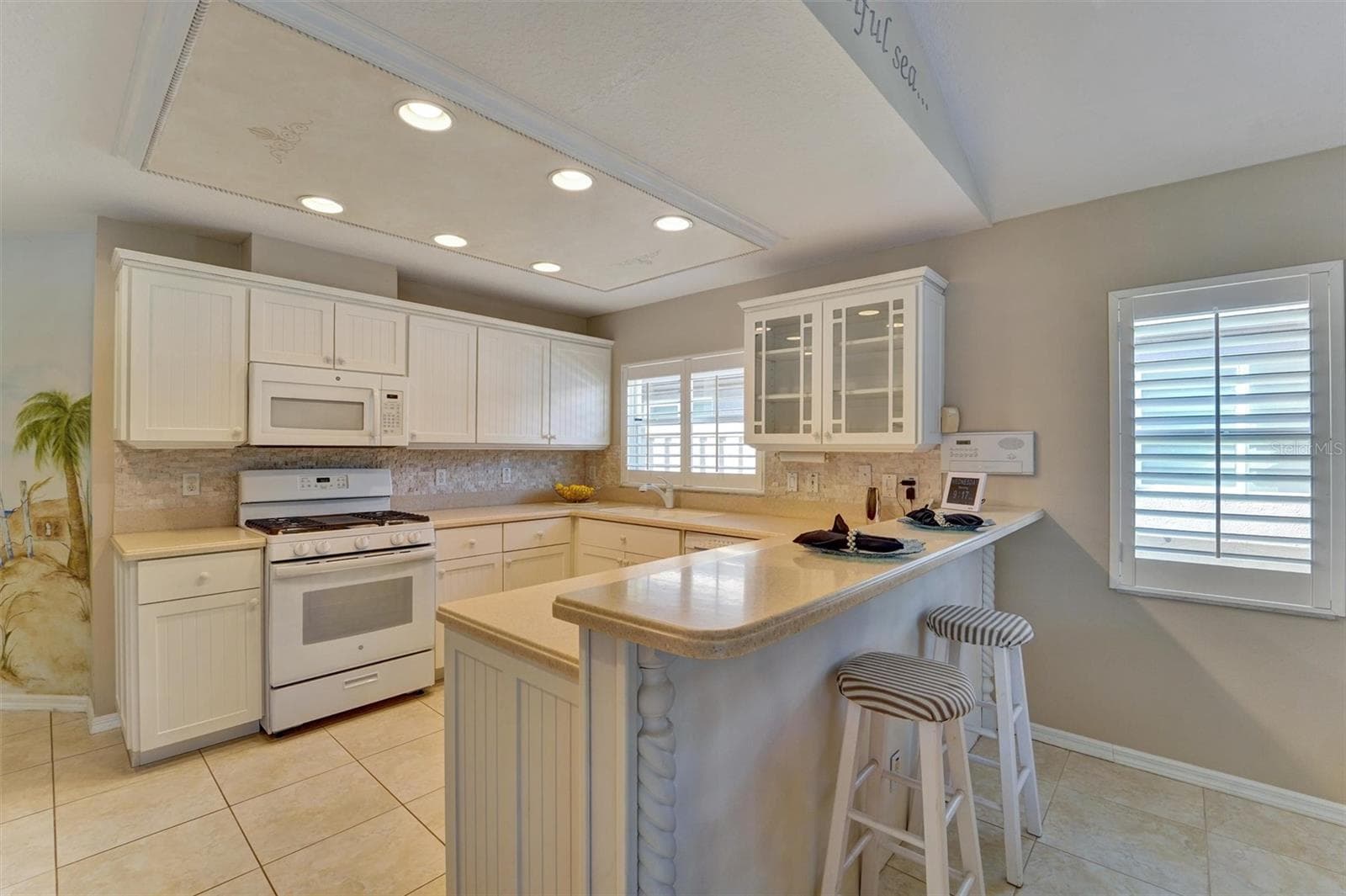 Single Family Residence at 740 SALT LAKE DR, TARPON SPRINGS, photo 24 of 46