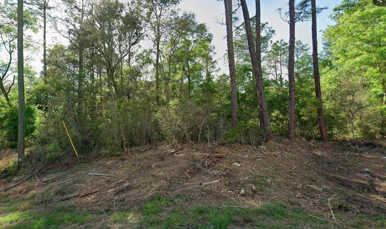 10814 N HATARI DR