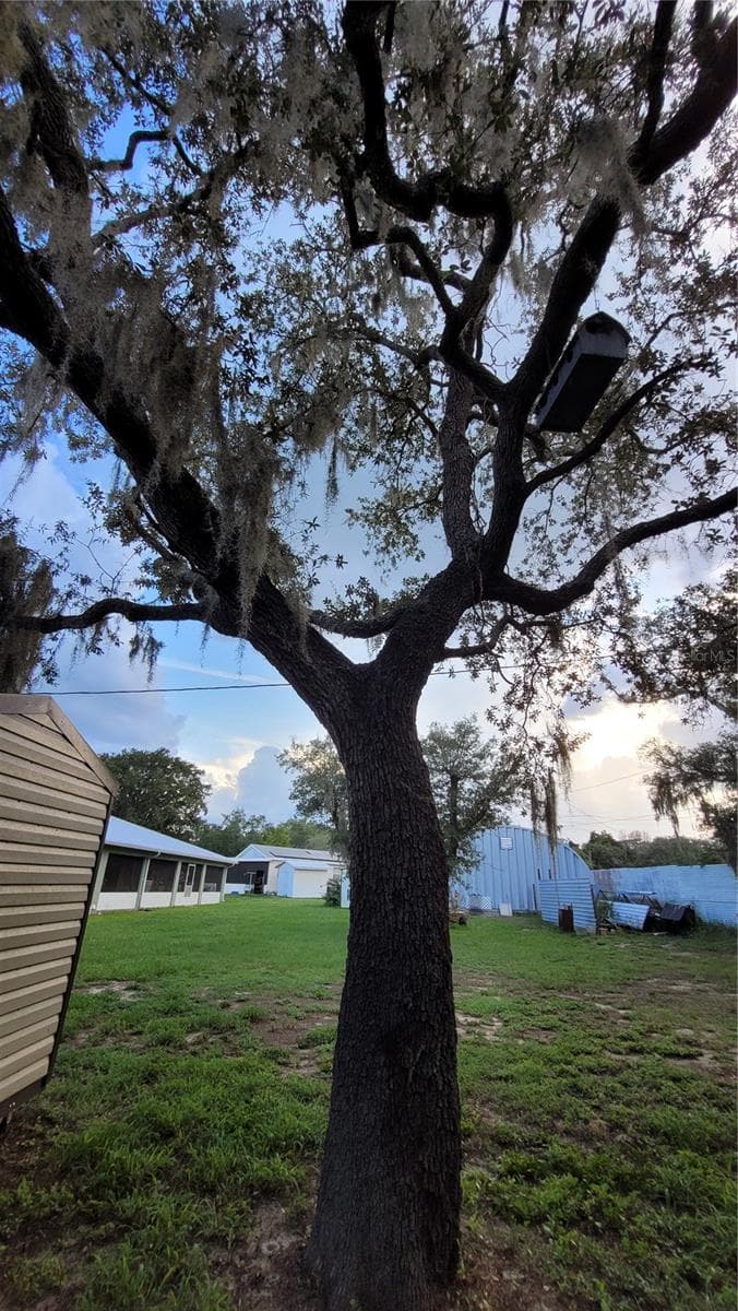 Single Family Residence at 3013 LAUREL AVE, LAKE WALES, photo 43 of 48