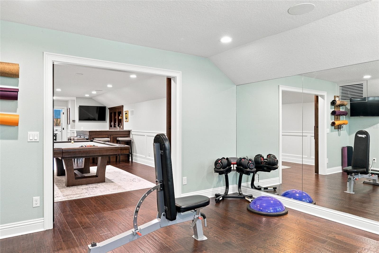 Gym - 2208 PRINCESS JULIA LN, LUTZ