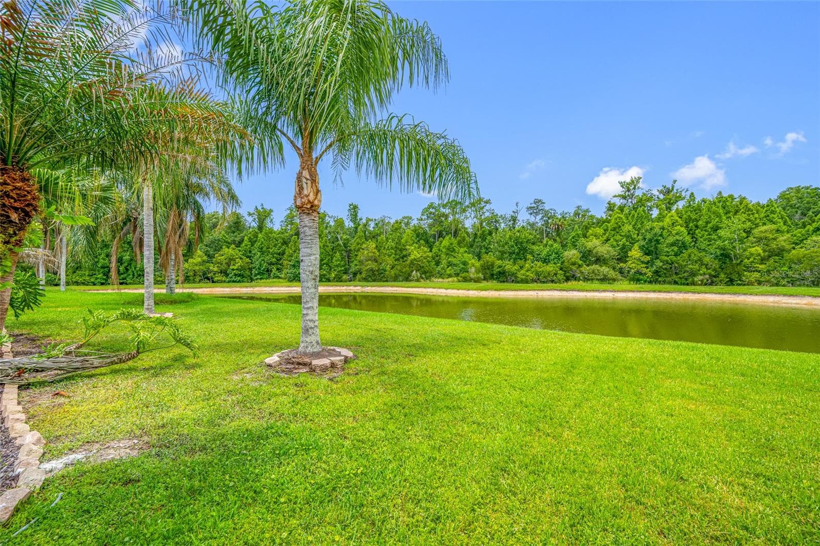 Single Family Residence at 25147 GEDDY DR, LAND O LAKES, photo 72 of 80