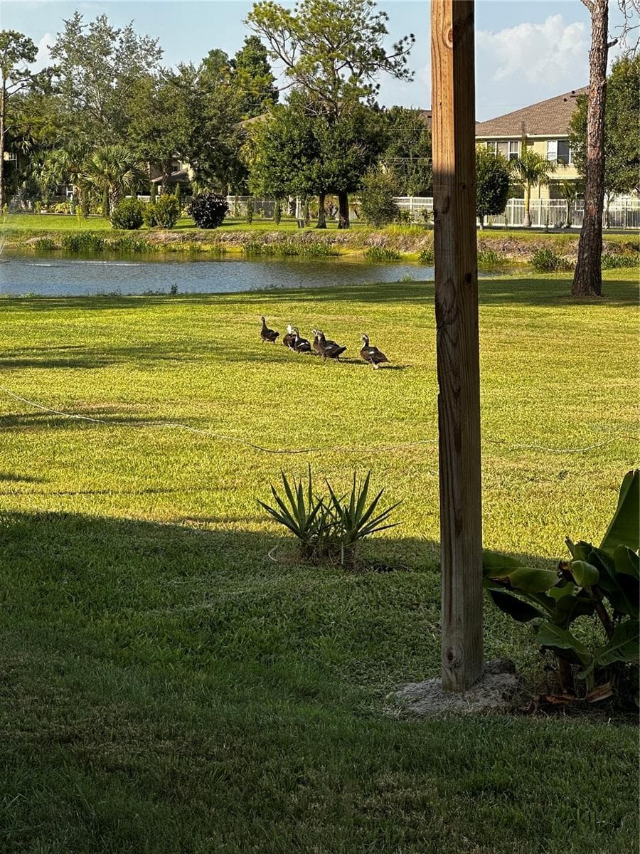 VIEW THROUGH THE LARGE WINDOW FROM YOUR LARGE KITCHEN BREAKFAST NOOK. - 8235 BURGUNDY DR N #3, PINELLAS PARK