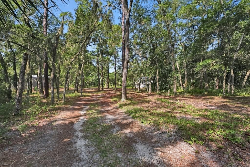 View of the home and shop from the road. - 1530 DEERMOSS LN, DELAND