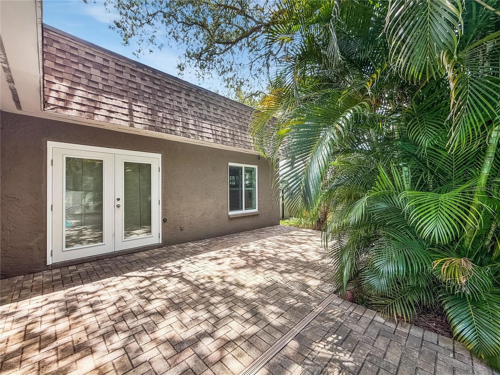 Back Patio - 1011 WINDING OAKS DR, PALM HARBOR